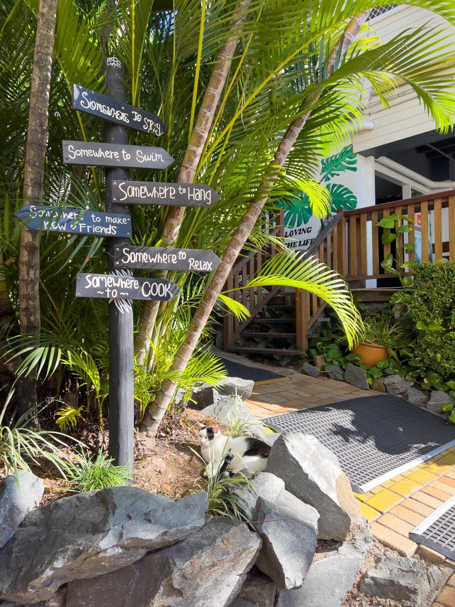 Somewhere To Stay Backpackers Brisbane Bagian luar foto